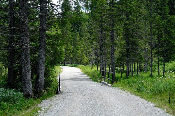 Unleash your hiking potential with hike seeker's insights